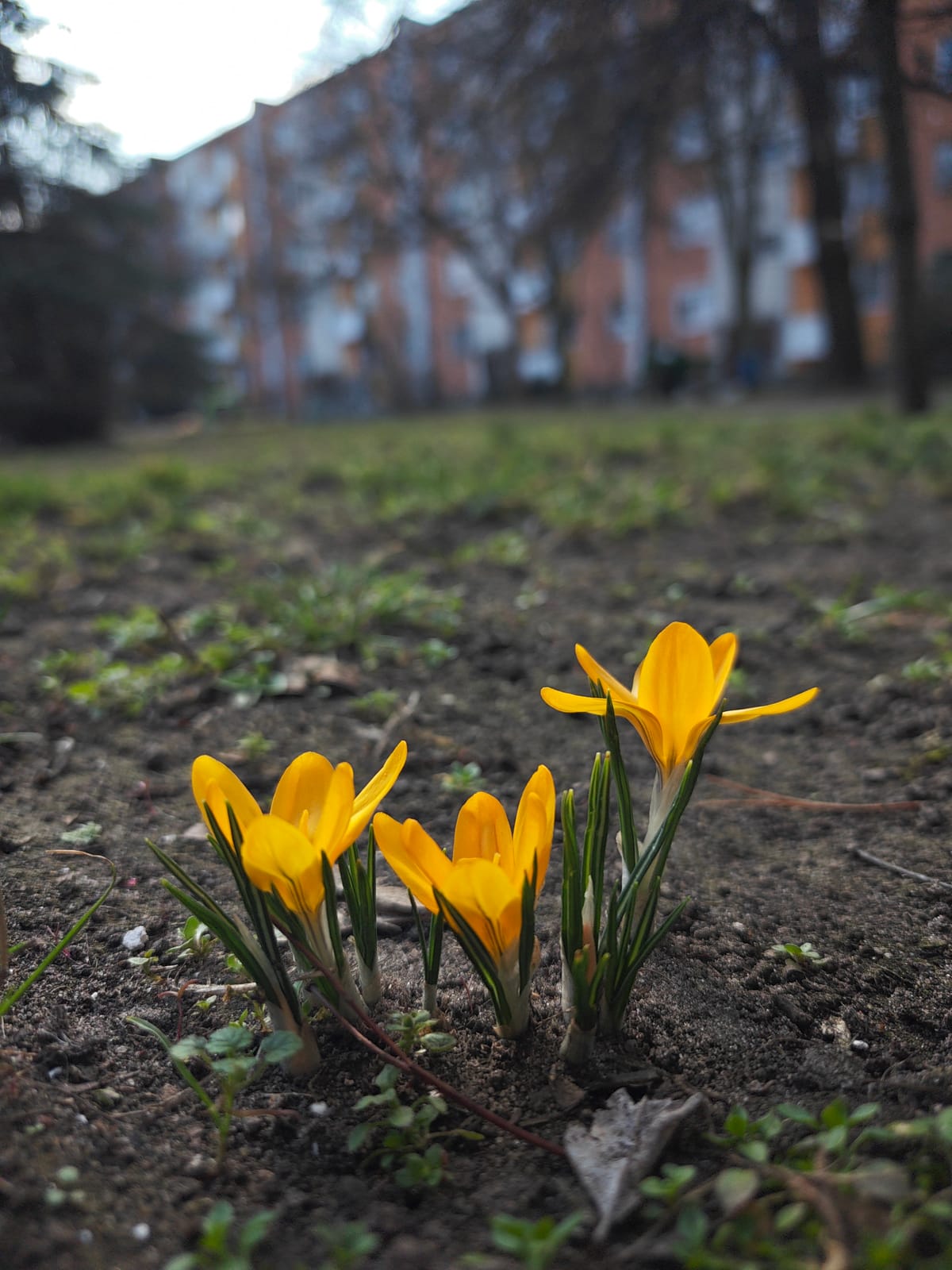 to jest test posta ze zdjciem